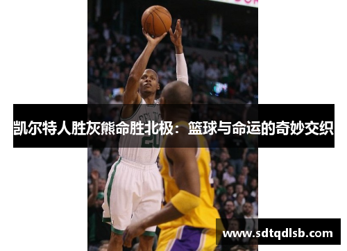凯尔特人胜灰熊命胜北极：篮球与命运的奇妙交织